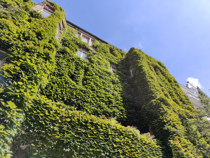 Ein mit dem Oneplus 10 Pro gemachtes Bild (Bild: Tobias Költzsch/Golem.de)